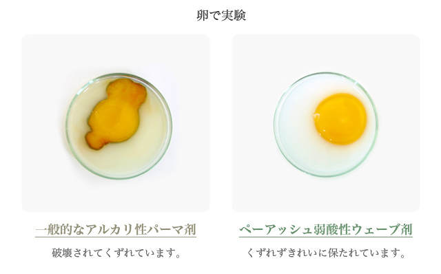 卵で実験-一般的なアルカリ性パーマ剤の場合、卵は破壊されてくずれています。ペーアッシュ弱酸性ウェーブ剤の場合、卵はくずれずきれいに保たれています。
